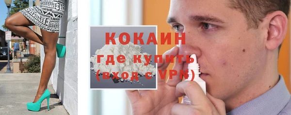 ГАЛЛЮЦИНОГЕННЫЕ ГРИБЫ Корсаков