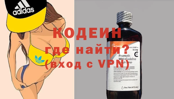 ГАЛЛЮЦИНОГЕННЫЕ ГРИБЫ Корсаков