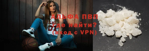 дмт Козельск