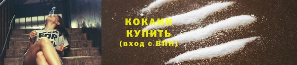 дмт Козельск