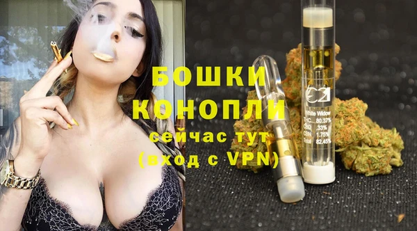 дмт Козельск