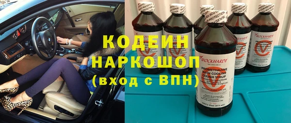 ГАЛЛЮЦИНОГЕННЫЕ ГРИБЫ Корсаков