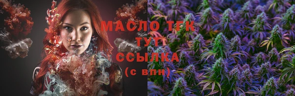 дмт Козельск
