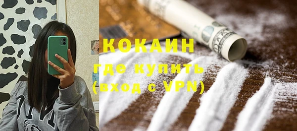 ГАЛЛЮЦИНОГЕННЫЕ ГРИБЫ Корсаков