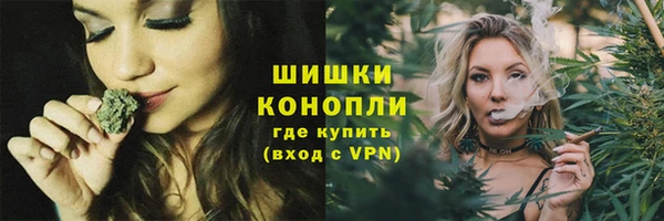 дмт Козельск
