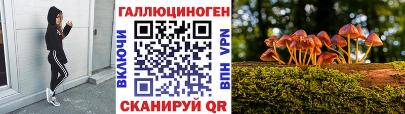 Псилоцибиновые грибы Psilocybe Нолинск